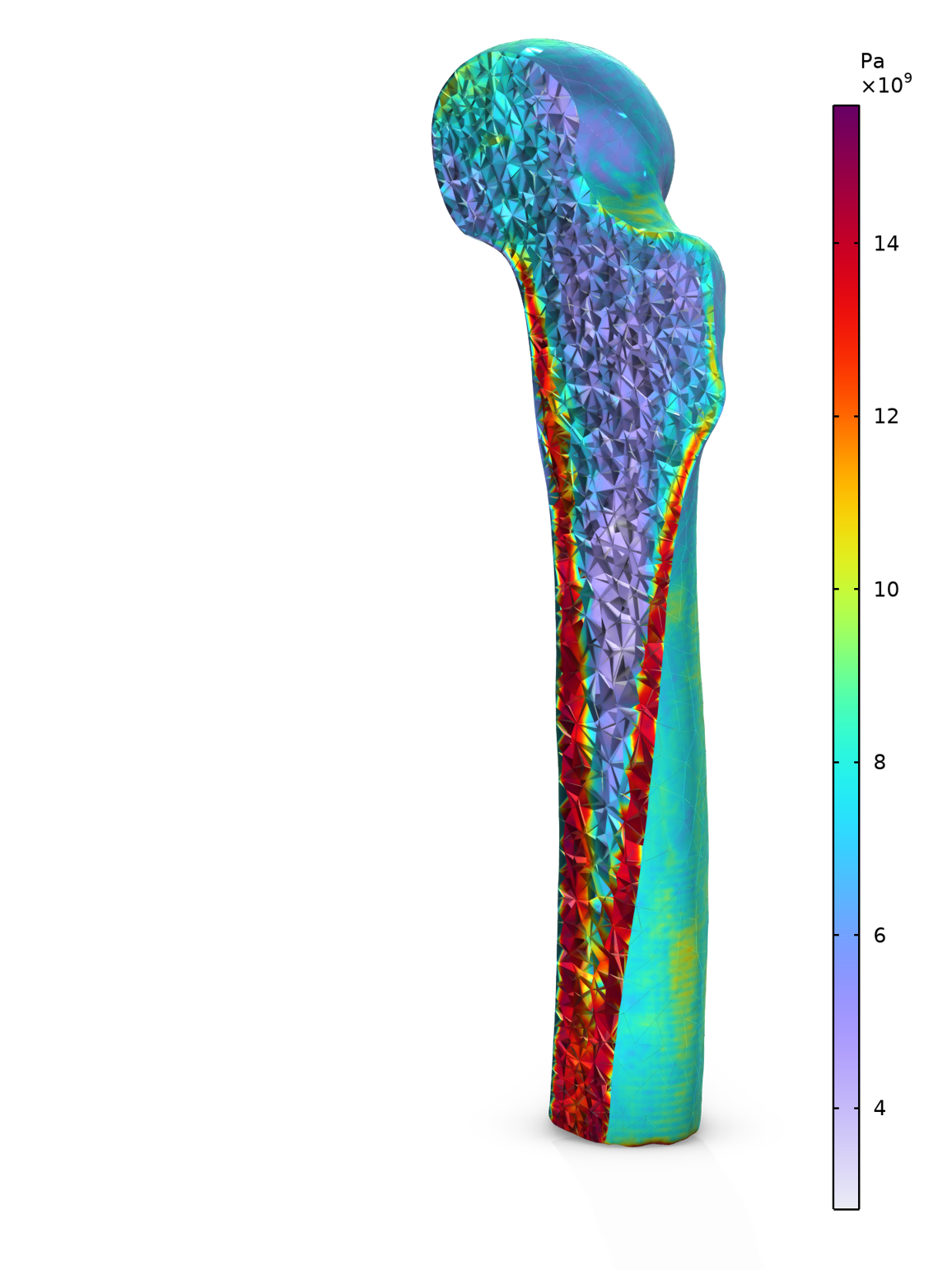 Počítačové simulace v biomedicínském vývoji